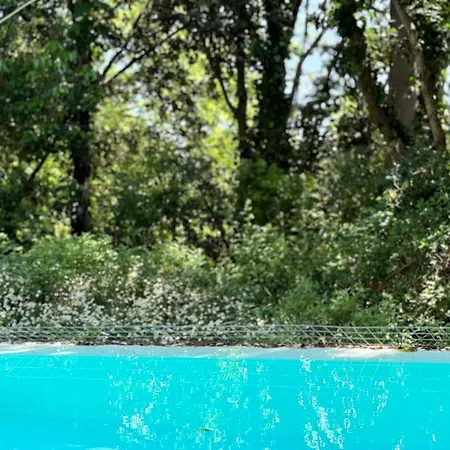 La Muscari Azienda Agricola Biologica 파노