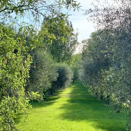 B&B La Muscari Azienda Agricola Biologica 파노