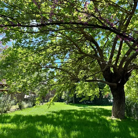 B&B La Muscari Azienda Agricola Biologica 파노