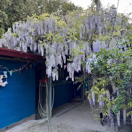 La Muscari Azienda Agricola Biologica